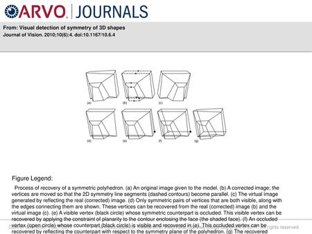 Figure Legend: From: Visual detection of symmetry of 3D shapes