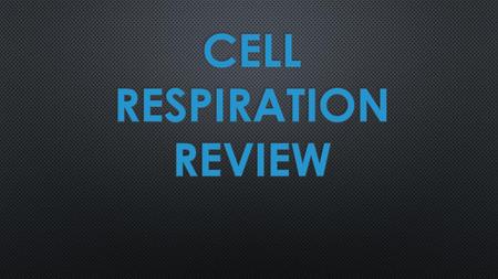 Cell Respiration Review