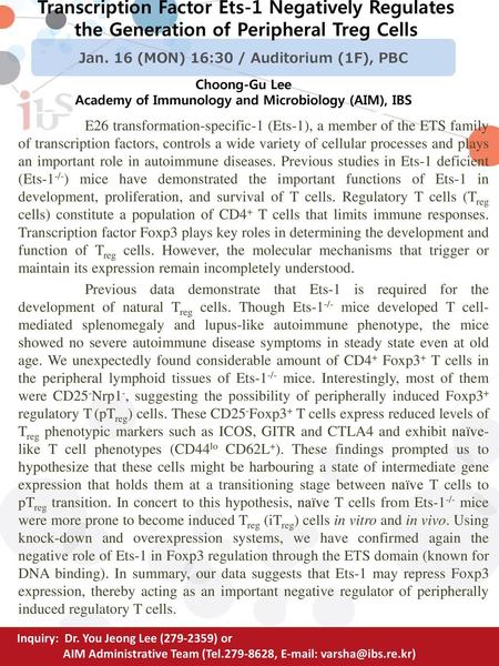 Transcription Factor Ets-1 Negatively Regulates