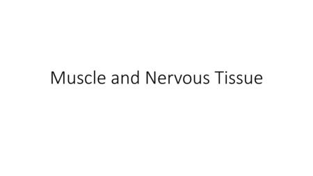 Muscle and Nervous Tissue