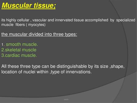 Muscular tissue; the muscular divided into three types: