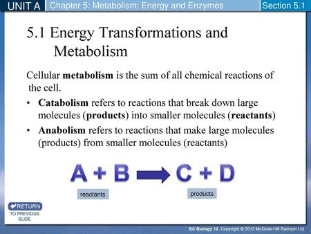 5.1 Energy Transformations and Metabolism