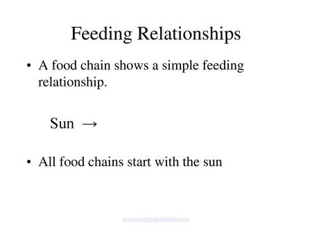 Feeding Relationships