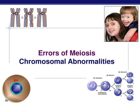 Chromosomal Abnormalities