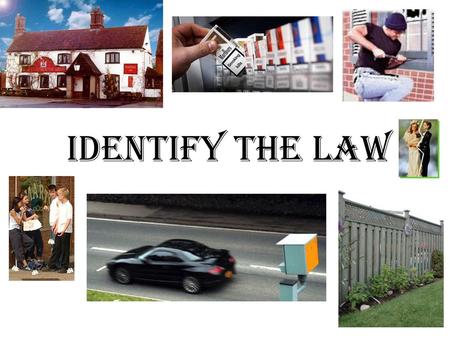 Identify the Law.