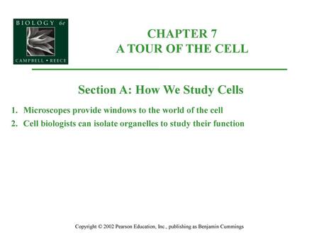 CHAPTER 7 A TOUR OF THE CELL Section A: How We Study Cells