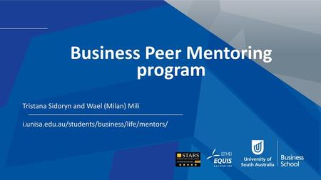 Business Peer Mentoring program