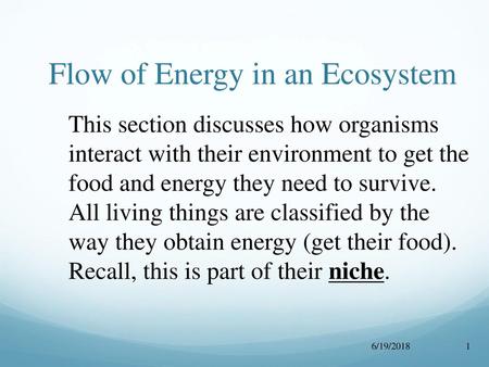 Flow of Energy in an Ecosystem