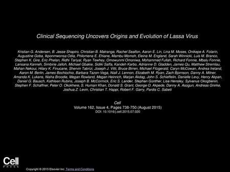 Clinical Sequencing Uncovers Origins and Evolution of Lassa Virus