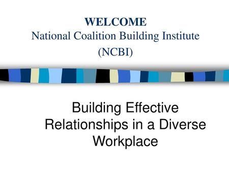 WELCOME National Coalition Building Institute (NCBI)