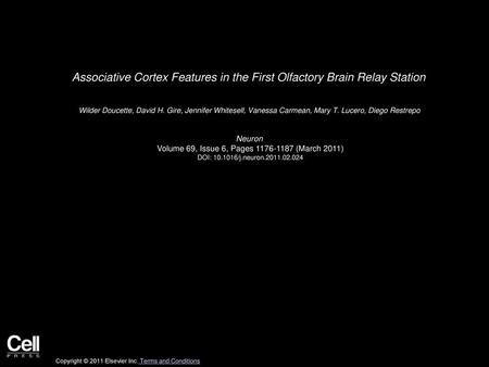 Associative Cortex Features in the First Olfactory Brain Relay Station