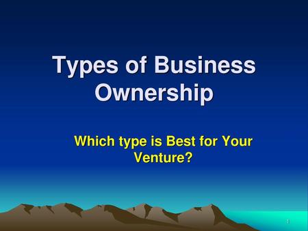 Types of Business Ownership