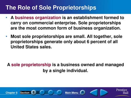 The Role of Sole Proprietorships