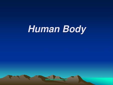 Human Body www.assignmentpoint.com.