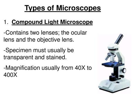 Types of Microscopes 1. Compound Light Microscope