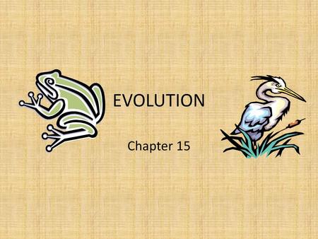 EVOLUTION Chapter 15.