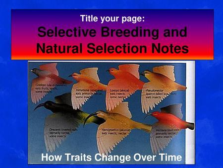 Title your page: Selective Breeding and Natural Selection Notes