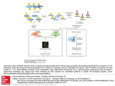 Schematic outline of MeDIP