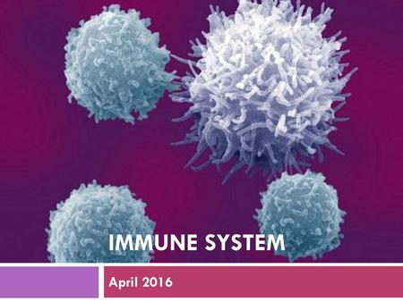 Immune system April 2016.