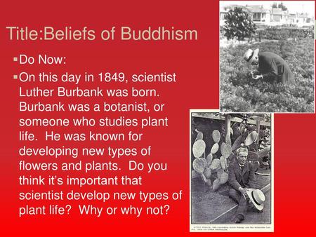 Title:Beliefs of Buddhism