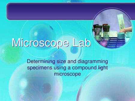 Microscope Lab Determining size and diagramming specimens using a compound light microscope.