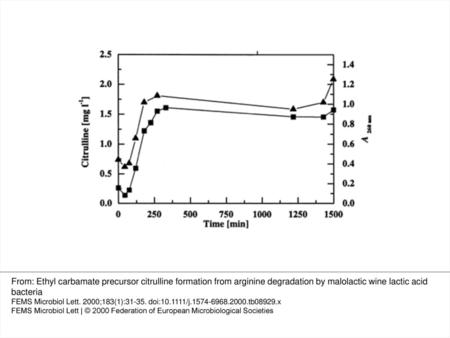 4 A correlation between citrulline excretion and cell lysis by resting cells of L. buchneri CUC-3 in tartrate buffer (pH 3.6) without added arginine, citrulline.