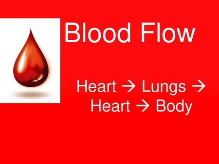 Heart  Lungs  Heart  Body