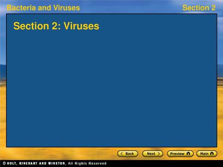 Section 2: Viruses.