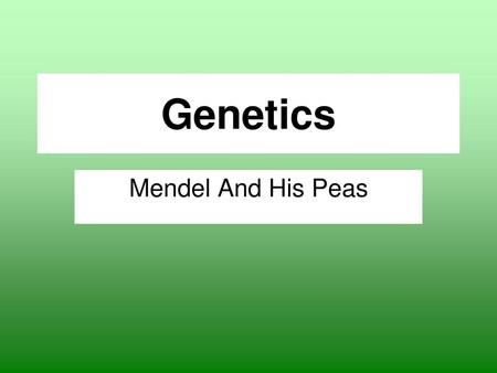 Genetics Mendel And His Peas.