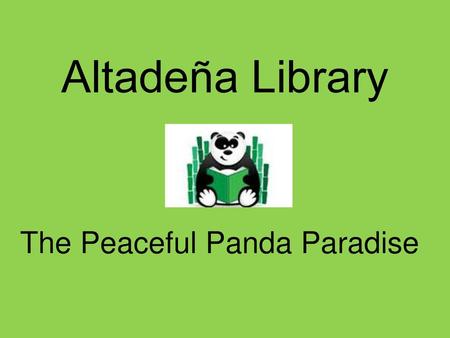 The Peaceful Panda Paradise