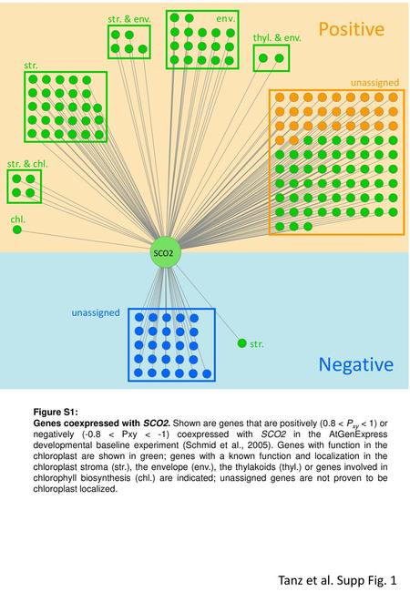 Positive Negative Tanz et al. Supp Fig. 1 unassigned st r . . & env.