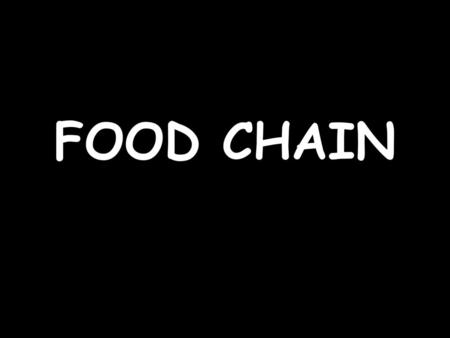 FOOD CHAIN.