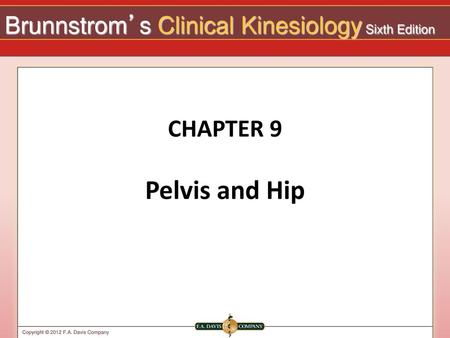 CHAPTER 9 Pelvis and Hip.