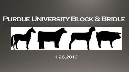 Purdue University Block & Bridle