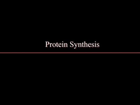 Protein Synthesis.