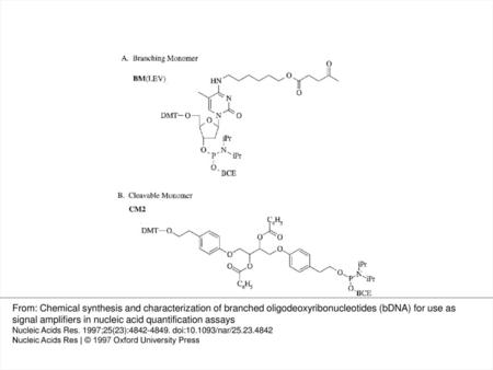 Scheme 1 Chemical structures of DMT- BM (LEV) BCE and DMT- CM2 (Bz 2 ) BCE. From: Chemical synthesis and characterization of branched oligodeoxyribonucleotides.