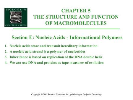 CHAPTER 5 THE STRUCTURE AND FUNCTION OF MACROMOLECULES