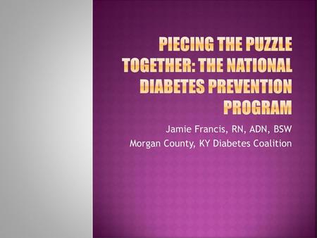 Piecing the puzzle together: The National Diabetes Prevention Program