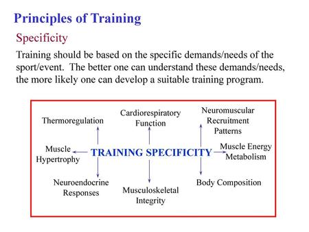 Principles of Training