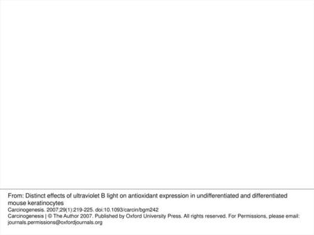 Fig. 2. Effects of UVB on COX-2 and cytokine mRNA expression