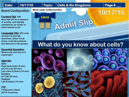 What do you know about cells?