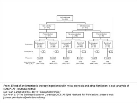 Figure 1 Flow chart diagram of high-risk group AF patients