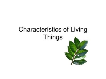 Characteristics of Living Things