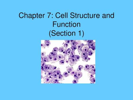 Chapter 7: Cell Structure and Function (Section 1)