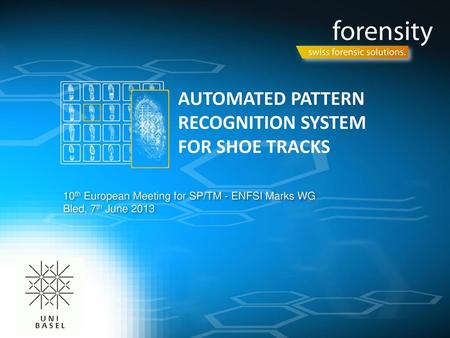 AUTOMATED PATTERN RECOGNITION SYSTEM FOR SHOE TRACKS