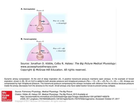 Dynamic airway compression