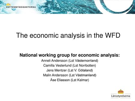 The economic analysis in the WFD