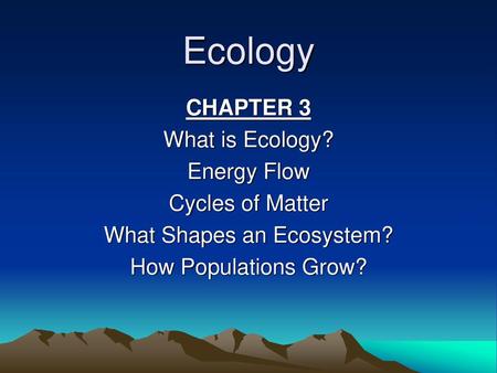 What Shapes an Ecosystem?