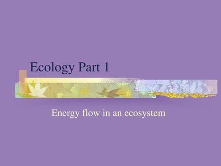 Energy flow in an ecosystem