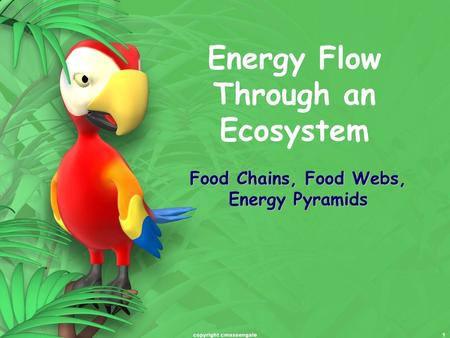 Energy Flow Through an Ecosystem